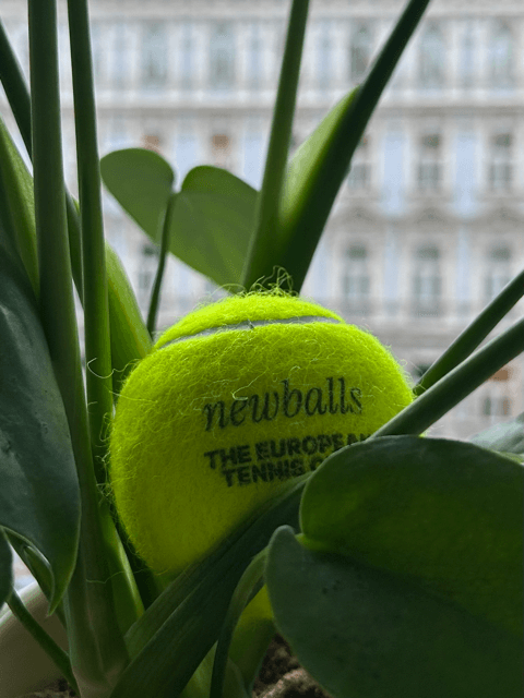 The European Tennis Club